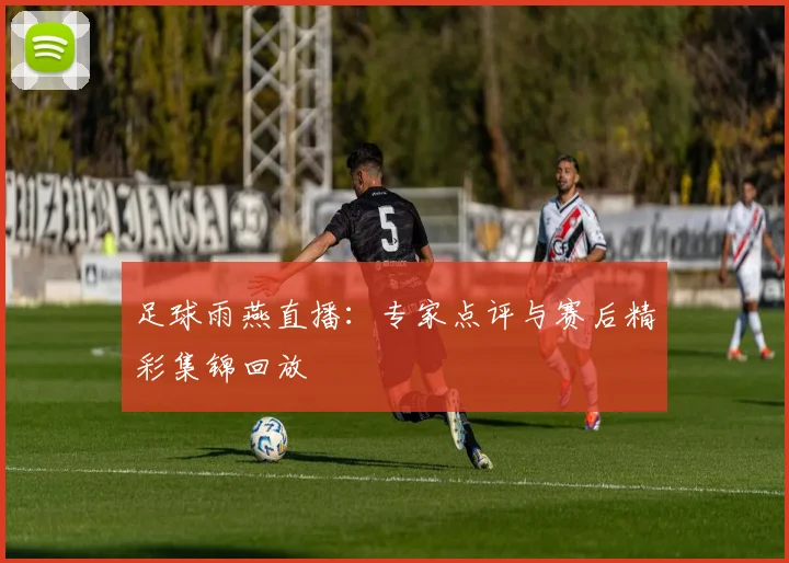足球雨燕直播：专家点评与赛后精彩集锦回放